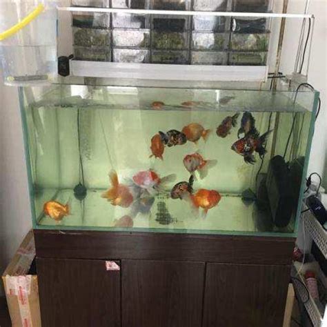 房屋龍虎邊 水量計算魚缸